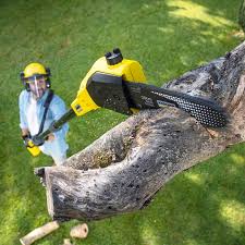  Hennessey, OK Tree Removal Pros