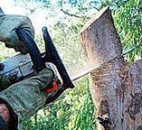 Best Storm Damage Tree Cleanup  in Hennessey, OK