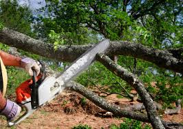 Best Lawn Mowing  in Hennessey, OK