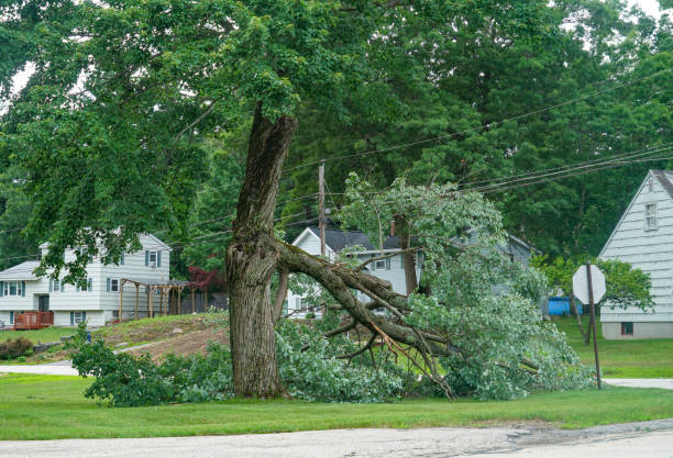 Best Leaf Removal  in Hennessey, OK