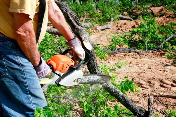 Best Lawn Maintenance Plans  in Hennessey, OK